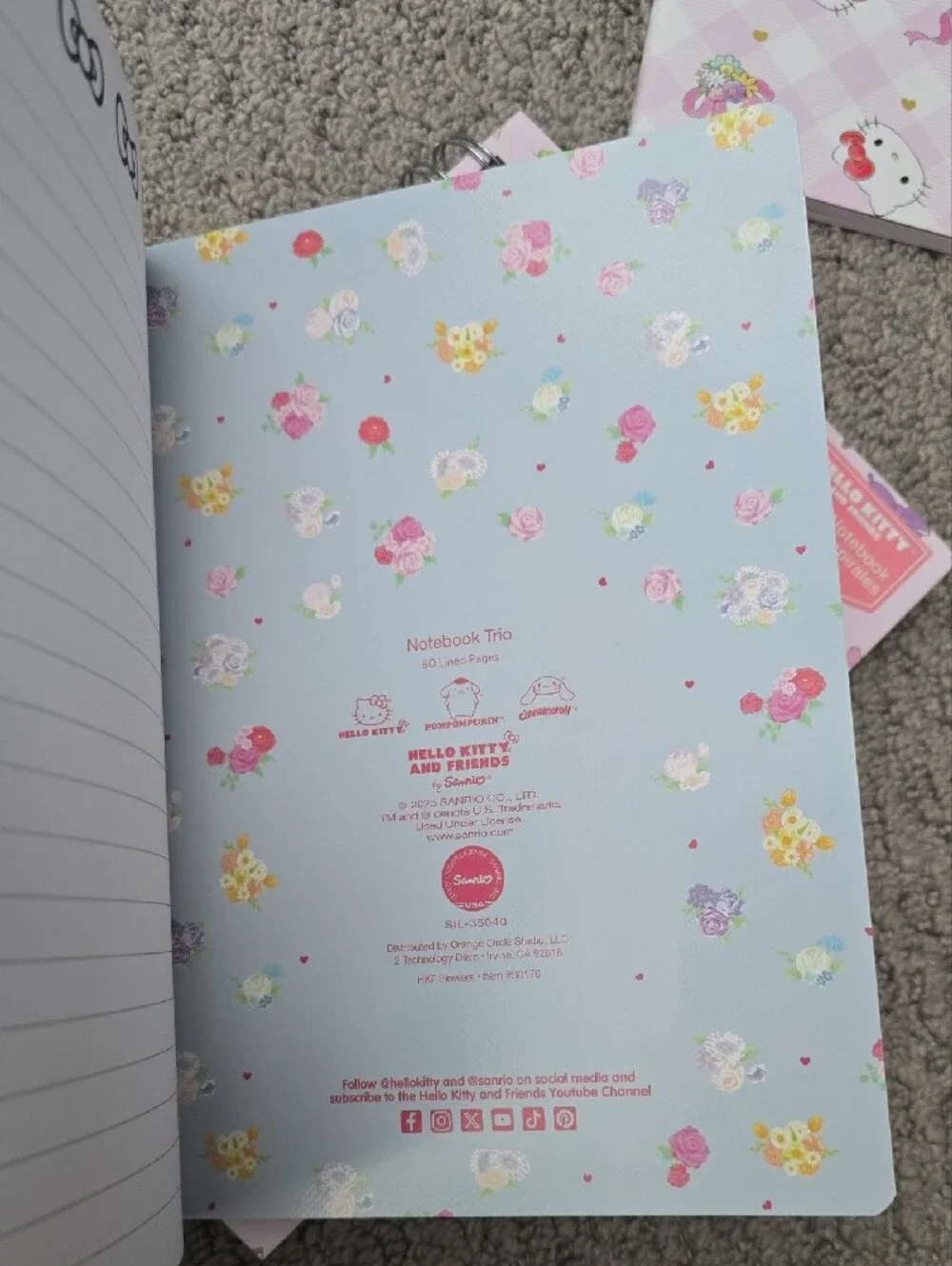 Hello Kitty Pink Patterned Notebooks Set